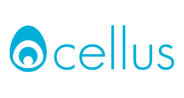 Ocellus