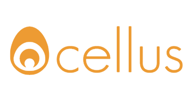 Ocellus